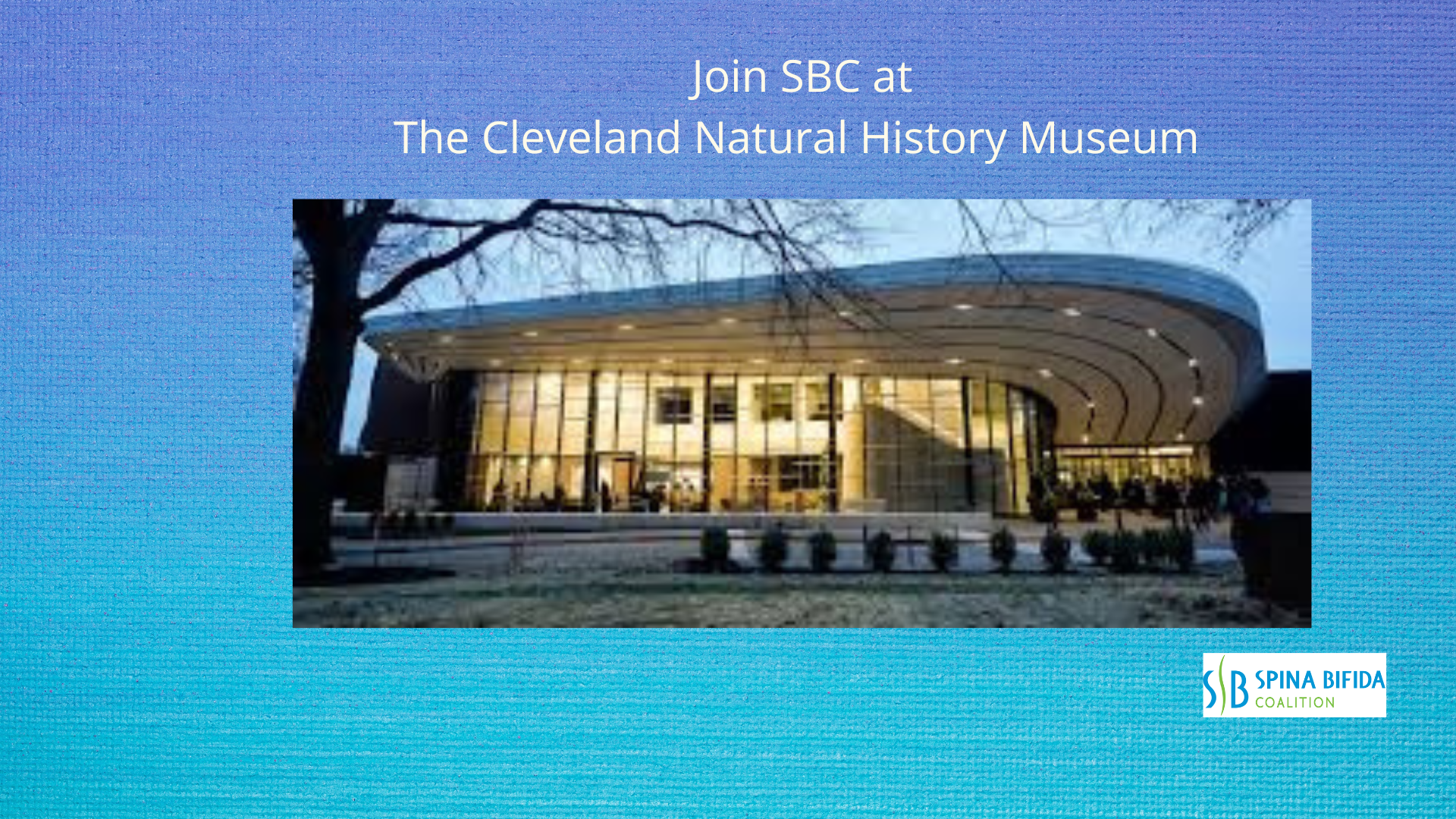 Website Photo- Natural History Museum (1500 x 500 px) (Presentation)